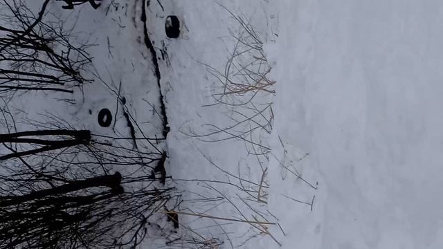 шина смотреть онлайн