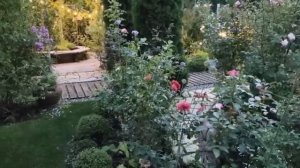 Фарфоровый сад Оксаны Сахаровой