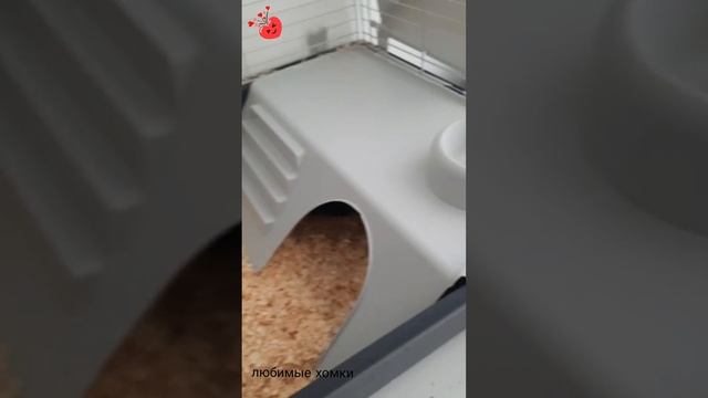 уборка у кроликов🐰💜🐇💕❤💟👍❣ смотреть онлайн