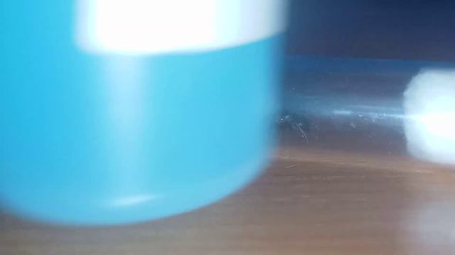 Me encuentro a una de las HORMIGAS mas GRANDES de EUROPA(camponotus cruentatus) смотреть онлайн