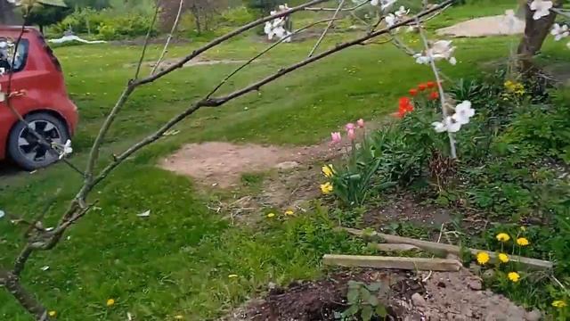 На Хуторе разные дела LATVIA