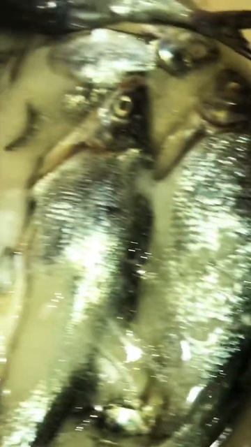 Сколько нужно промывать солёную рыбу?