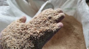 Зернодробилка Шмель 11 кВт. Испытание модернизированной конструкции ротора. 1850 кг. в час.