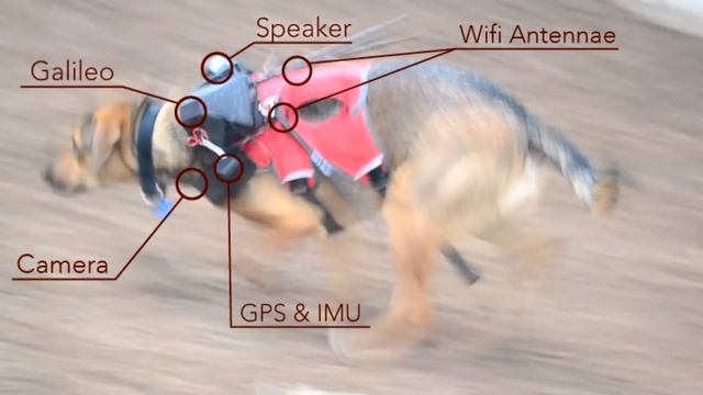 SmartCollar - The Next Step for Man's Best Friend смотреть онлайн