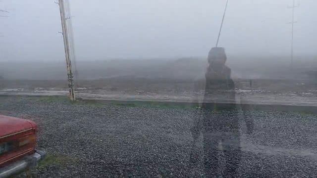 Novruz Bayramini Baliqda Qeyd Etdik Ancag шука Gelmedi