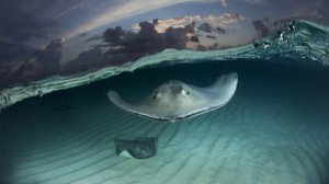 РР4: Безымянная банка, 215 яма и река Яма Русская Рыбалка 4  (68 серия)