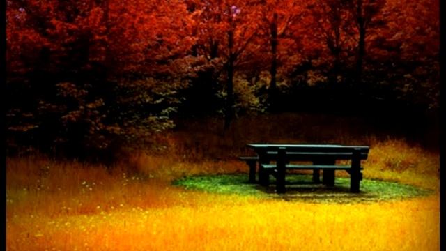 Bela Bartok - Sz.107 - Mikrokosmos - Book 4 - 97 - Chris Breemer смотреть онлайн