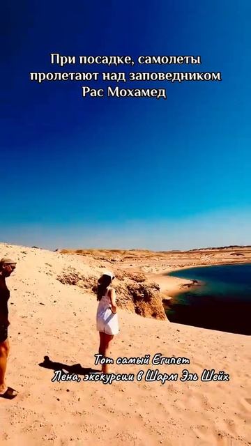Заповедник Рас Мохамед смотреть онлайн