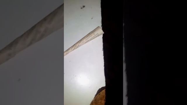 Чувак под Планом смотреть онлайн