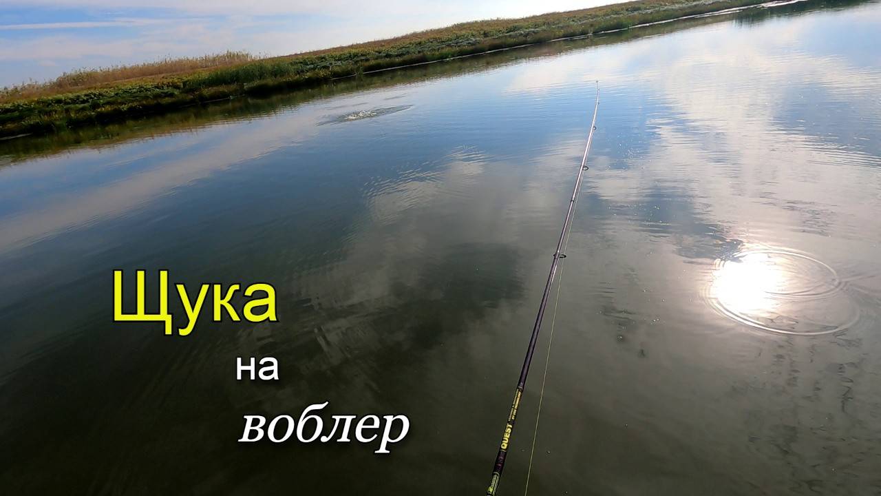 Поймал щуку на поверхностный воблер от юзури смотреть онлайн