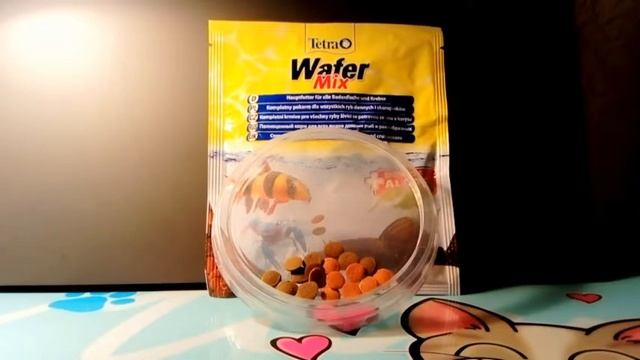 Wafer Mix Tetra