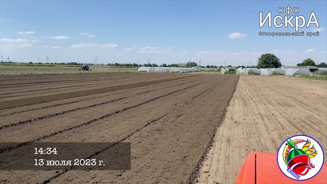 Бугры под клубнику. Новопавловск. Ставропольский край. смотреть онлайн