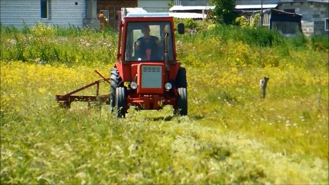 Владимирец Т-25 з роторною косаркою 1,35 . Wirax Z-069 смотреть онлайн