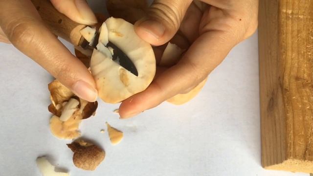 How To Dry Avocado Seed For Carving Purpose - Tutorial