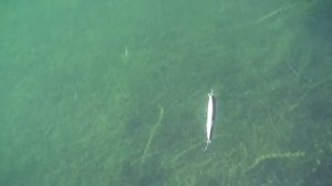 Воблер Страйк ПРО БОЛД 130СП | Обзор воблера на щуку