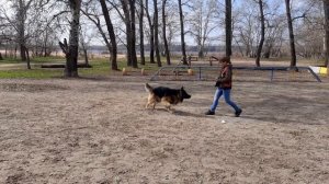 Отзыв Ирины Гусельниковой