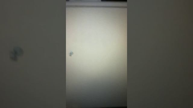 WillowTree And WinRAR / Borderlands / Modding / And Level C