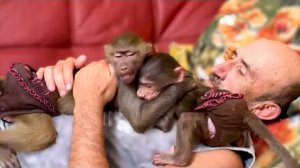 СМЕХ, да и только! Люська УКЛАДЫВАЕТ любимого папу и Степу СПАТЬ