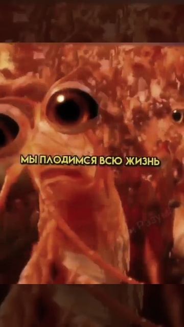 ... смотреть онлайн