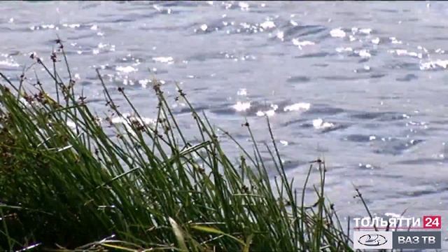 «Мой Тольятти. Микрорайон Фёдоровка» 21.09.2020