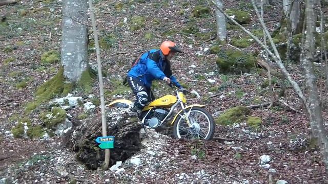 Daniel Kempf Sur Sa Swm  à Autechaux-Roide Vidéos By Philippe Stocker @Trialvideos