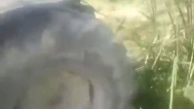 Беларус 1221 Али 1 смотреть онлайн