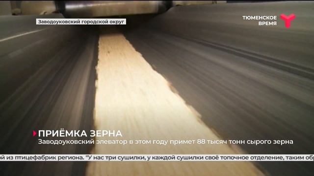 Заводоуковский элеватор примет 88 тысяч тонн сырого зерна смотреть онлайн
