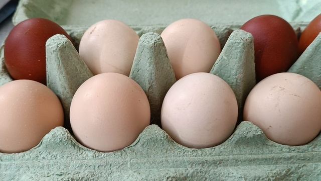 Продаю инкубационные яйцо