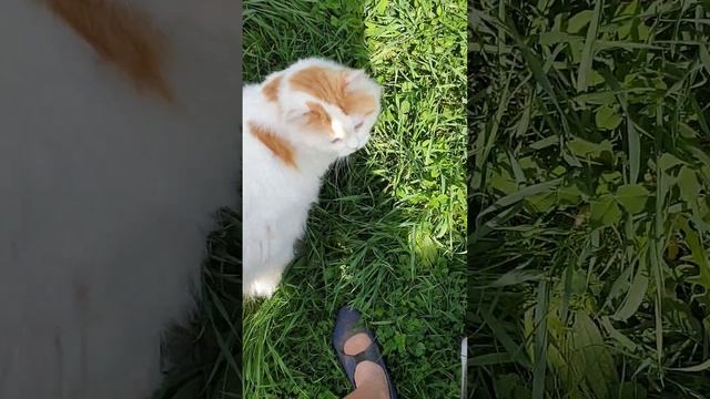 Занять место под солнцем