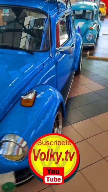 Vocho / Fusca / Beetle / Volky.tv смотреть онлайн