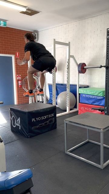 Seated Box Jump смотреть онлайн