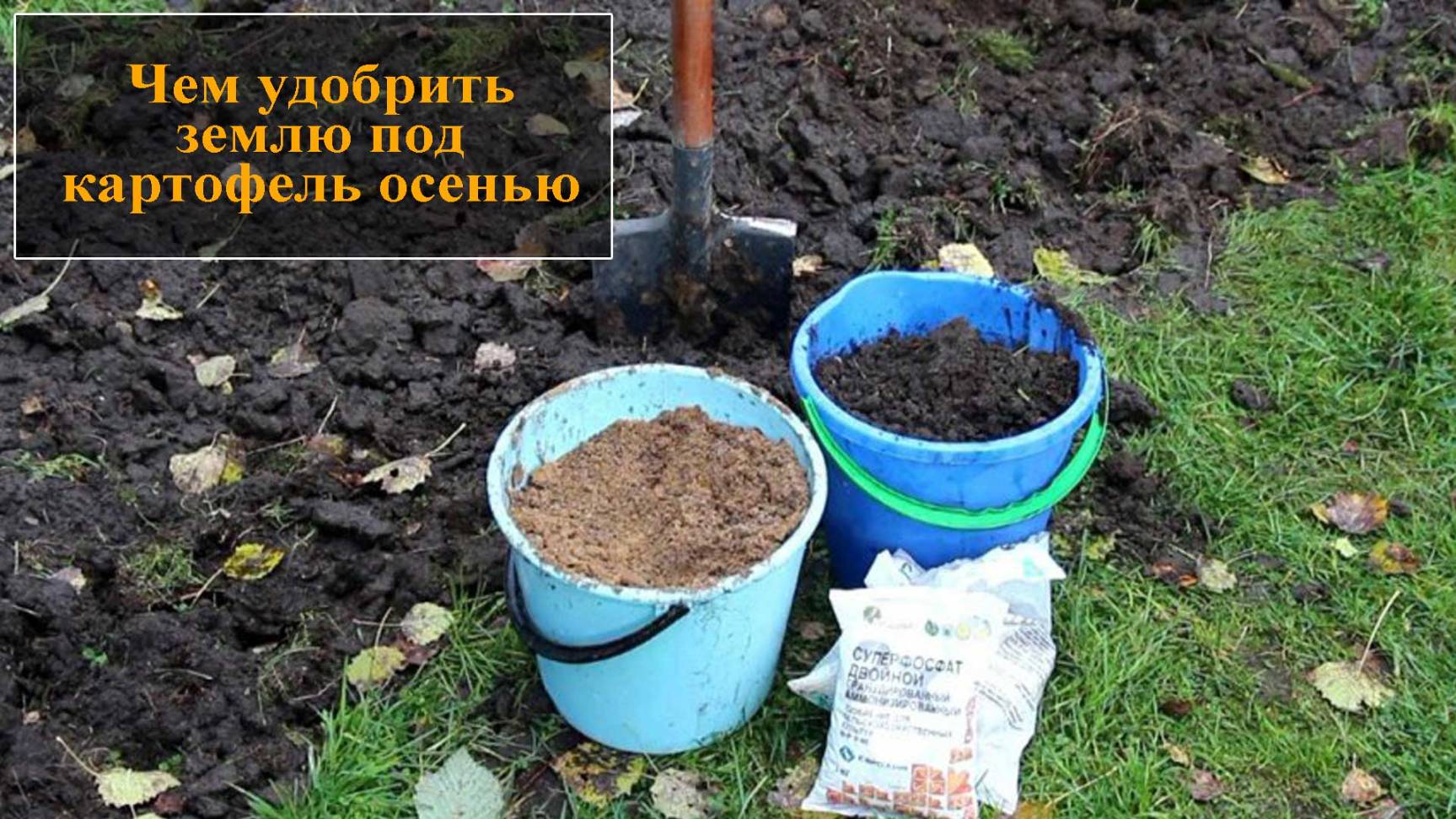Подкормить почву под картофель смотреть онлайн