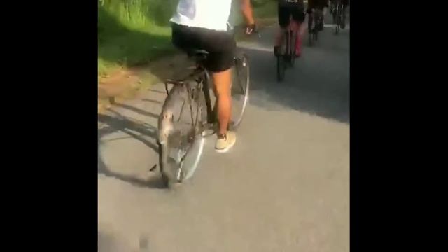 Road Bike Colnago Vs Ontel смотреть онлайн