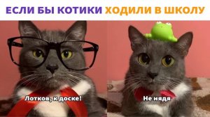 ЕСЛИ БЫ КОТИКИ ХОДИЛИ В ШКОЛУ-ВСЕ СЕРИИ