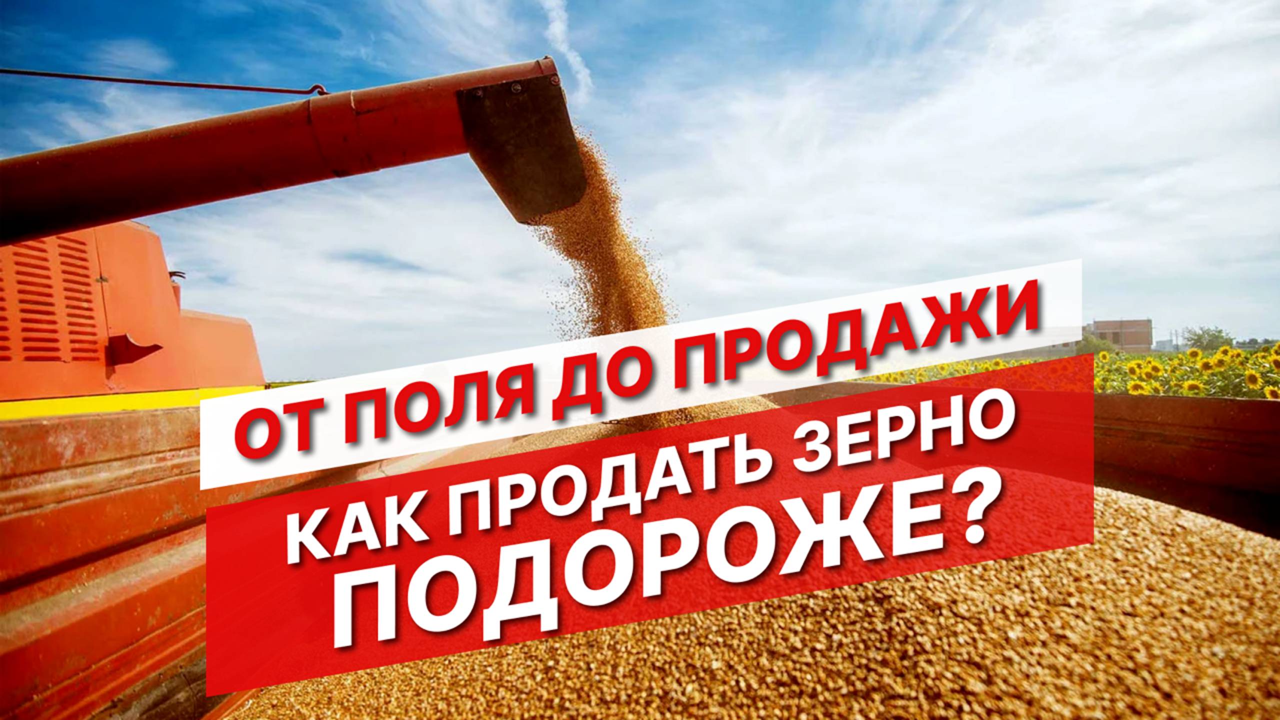 Низкие цены на зерно. Как продавать зерновые? | Выращивание зерновых | Опыт Август Агро смотреть онлайн