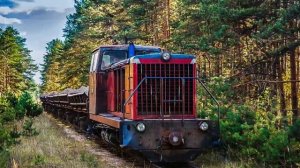 🇷🇺"Ушедшие в историю".Тверская узкоколейная железная дорога.1951-2020 | Narrow gauge in Tver.