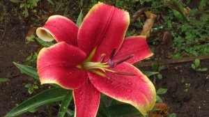 Мелодия из прогноза погоды программы "Время" 
Виктор Куликов . 
Поезд в час тридцать