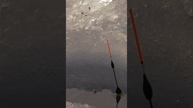 Поплавок зимний смотреть онлайн