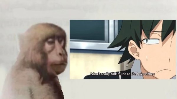 Totsuka Oregairu neuron activated trap anime meme