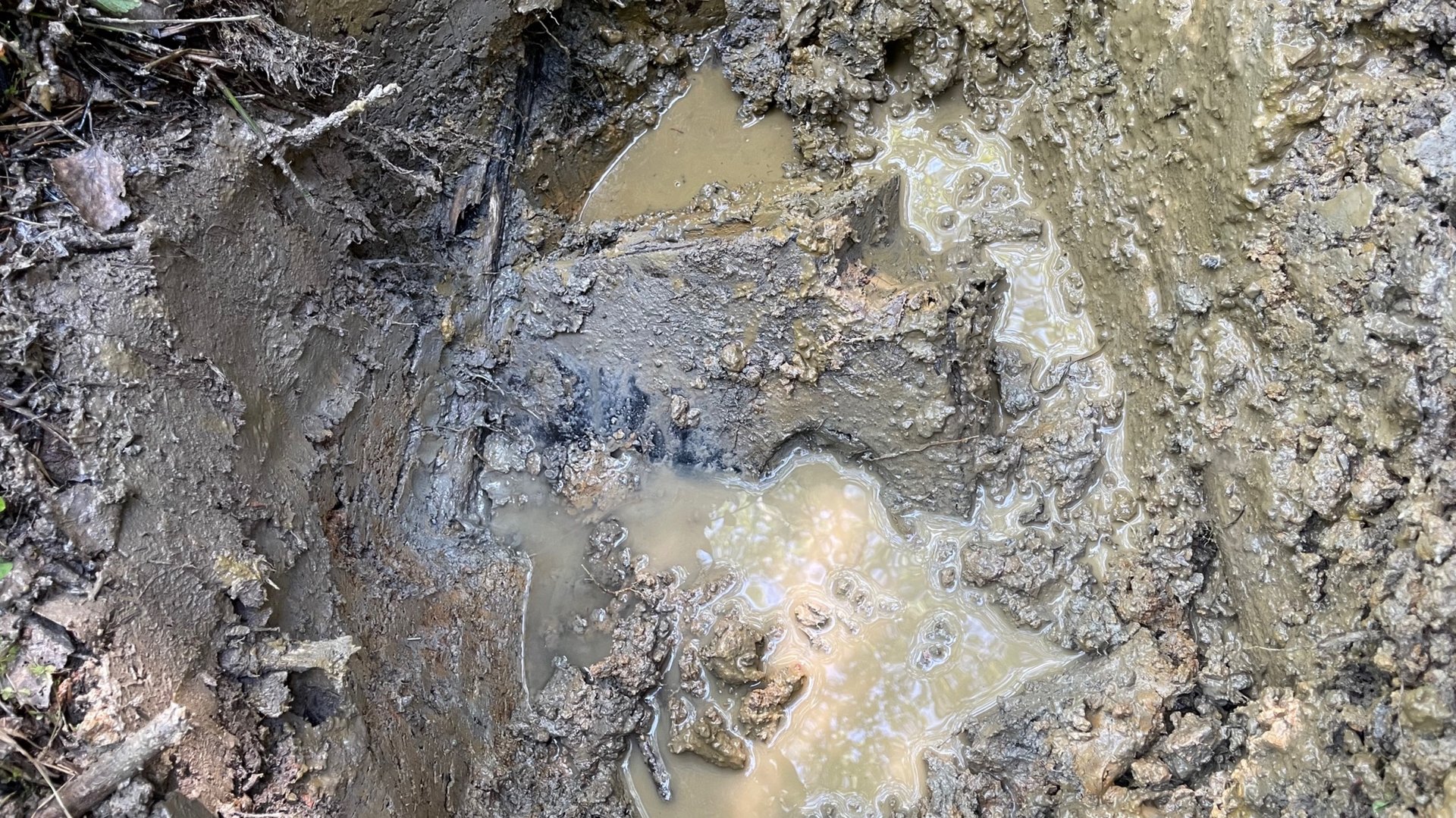 Коп по войне. Блиндаж вермахта порадовал находками. смотреть онлайн