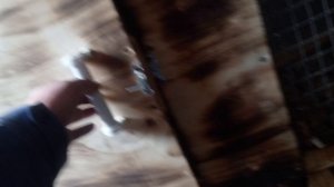 Летний выгул для цыплят