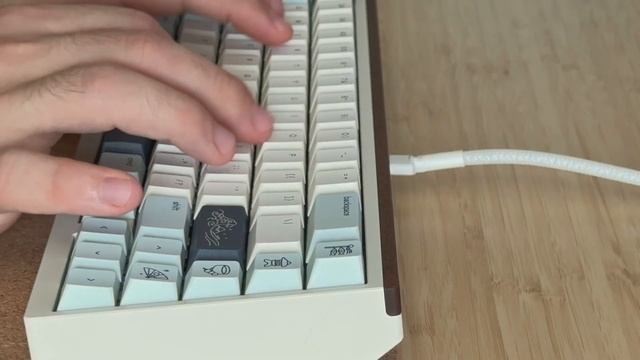ASMR ~ Typing on 4 Different Keyboards (No Talking) смотреть онлайн
