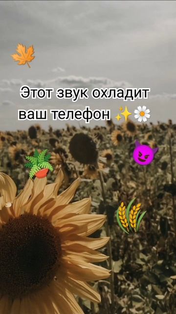 У меня уже холодненький🥶 #хочуврек #meme #гача #гачаклуб #приколы смотреть онлайн