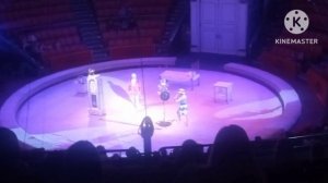 Ты не поверишь!. Цирк. Девочка и слон. Цирковое представление. Отрывок