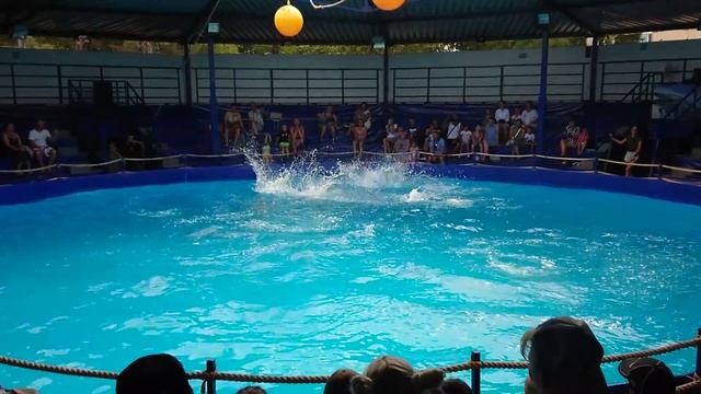 Замедленная съемка Sony Xz Premium