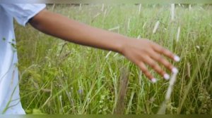 КАК НАДОЛГО ИЗБАВИТЬСЯ ОТ ПЫЛИ | Лучшие способы и средства от пыли