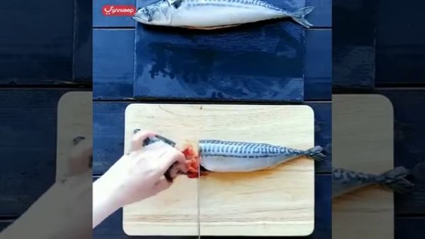 Малосольная скумбрия за 4 часа Рецепт