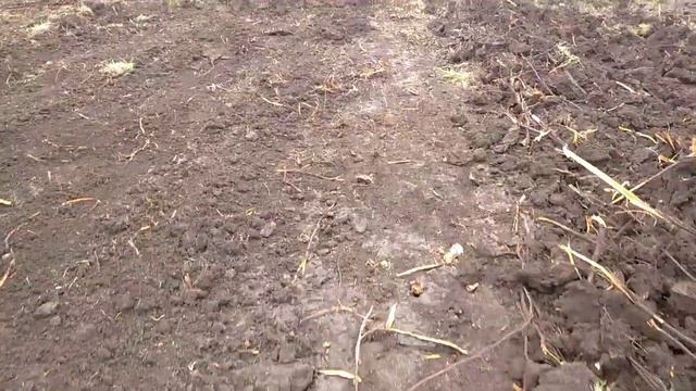 ДТ 75 опять в деле. Нашли где были схованы недастающии гектары поля