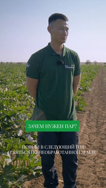 Как выращивают лук в России? #фермерство #свояеда смотреть онлайн