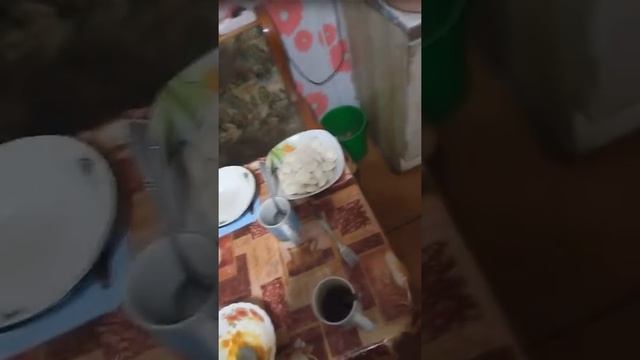 Бытовые навыки аутиста. Варит пельмени. Продолжение.